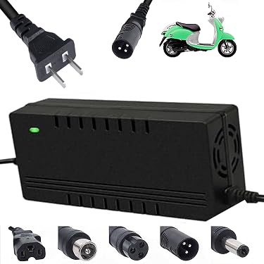 Amazon.co.jp 最新リリース: バイク用バッテリー充電器 の新着