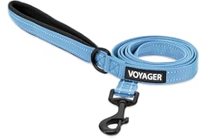 Voyager Reflective Dog Leash with Neoprene Handle, 5ft Long, Supports Small, Medium, and Large Breed Puppies, Cute and Heavy Duty for Walking, Running, and Training - Baby Blue (Leash), S
