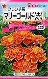 【種子】フレンチ系マリーゴールド（赤）　トーホクのタネ