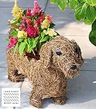 LAND PLANTS 【ガーデニング用品】ミニチュアダックス バスケット Mサイズ