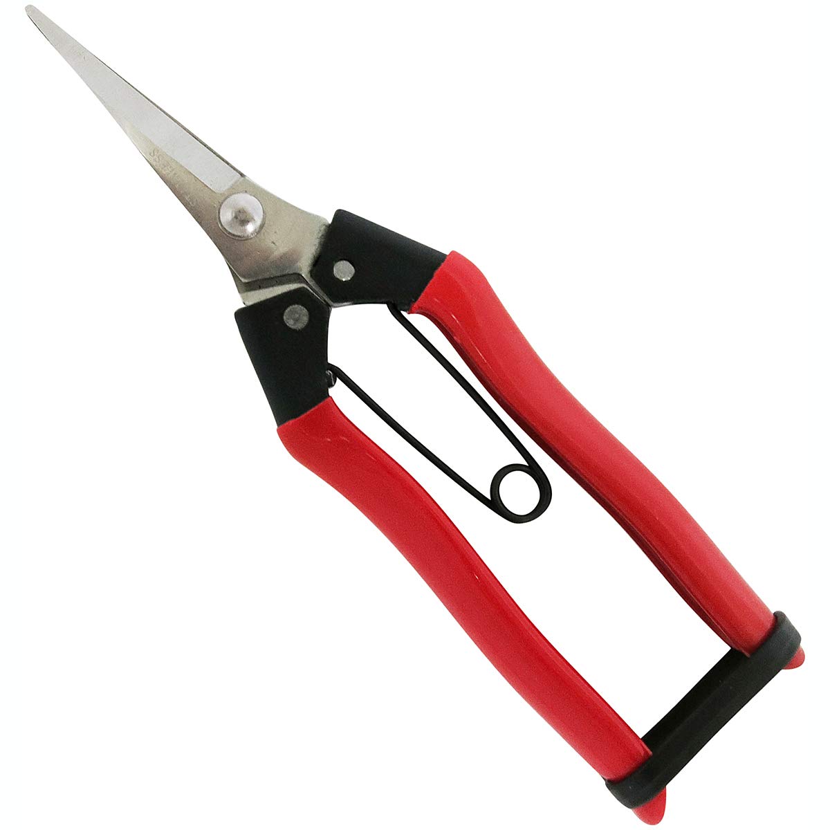 【本日最終日】【ブラックフライデー】【53%OFF】【566円】 KONYO 永吉 ステン摘果鋏 185mm