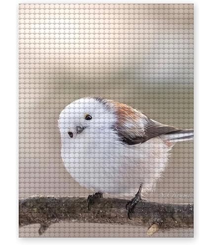 Amazon | シマエナガ 鳥柄 ダイヤモンドアート 5D ビーズアート