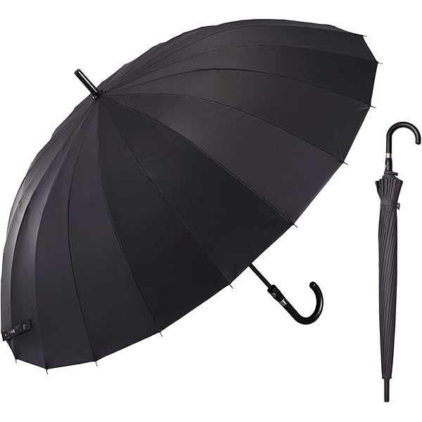 Amazon | 傘 レディース 長傘 前原光榮商店 カーボン 16本骨