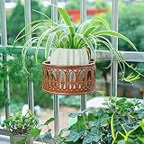 創造的な装飾をぶら下げ錬鉄製のバルコニーの花レール手すりの花壇 (色 : A)