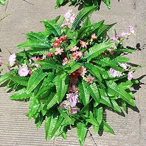 Amazon Huahoo 人工植物 グリーンシルク シダ 人工 ボストンファーン 植物 植物 植物 植物 植物 植物 花 ピンク 花 ホームパーティー ウェディング装飾 1個 15 7 Inches ピンク 花 観葉植物 フラワーギフト オンライン通販