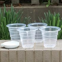 スワロフスキー　小さなオーキッド 洋蘭鉢 sw5490755_1.jpg