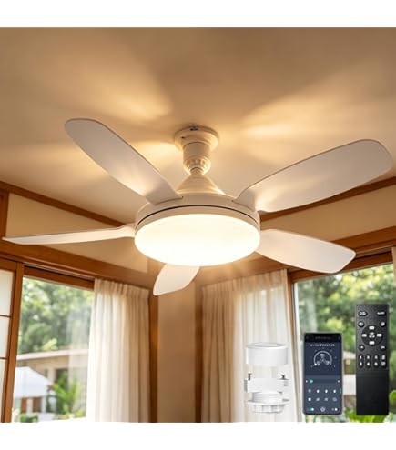 Amazon.co.jp : TALOYA シーリングファンライト Φ132cm ホワイト