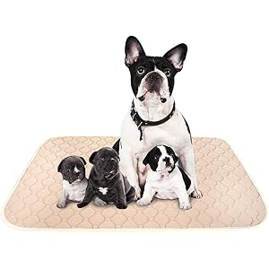 ペットシーツ 洗える 猫 犬用 おしっこパッド ペット用 トイレ下敷きマット 速乾 洗える 大判サイズ 多頭飼いに最適…