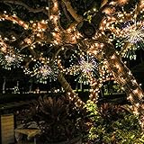 RaiFu ストリングライト ワイヤレス 防水 リモート コントロール 花火ライト ガーデン パーティー ヤード 装飾 カラー