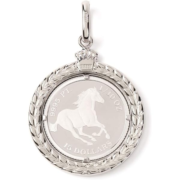 Amazon | [ハッピーグッツショップ] プラチナ ペンダントトップ