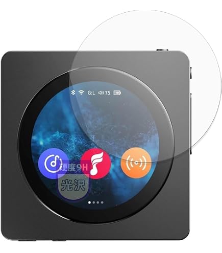 Amazon.co.jp: FIIO Snowsky DISC FIO-SSDISC【日本正規品・シリアル