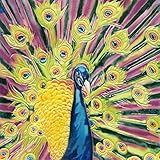 High Quality BD-2108 8 by 8-Inch Peacock Ceramic Art Tile
