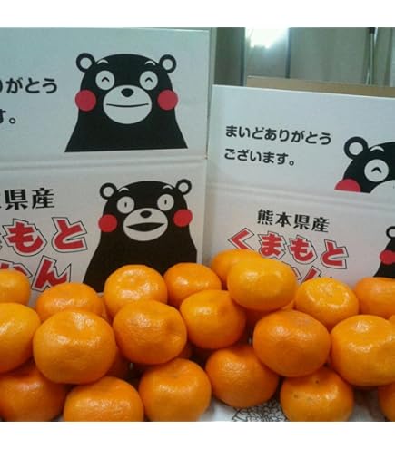 Amazon.co.jp: 訳あり みかん 約20キロ 熊本産 完熟蜜柑 3S～3L