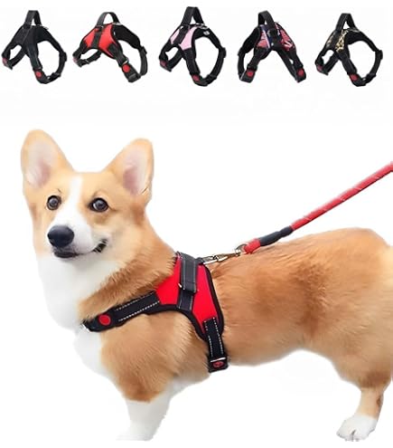 ☆ DISUKI ダイスキ リフアン反射ハーネス S 小型犬用 赤 493 Amazon | DISUKI(ダイスキ) リフアン反射ハーネス S(小型犬用) 青