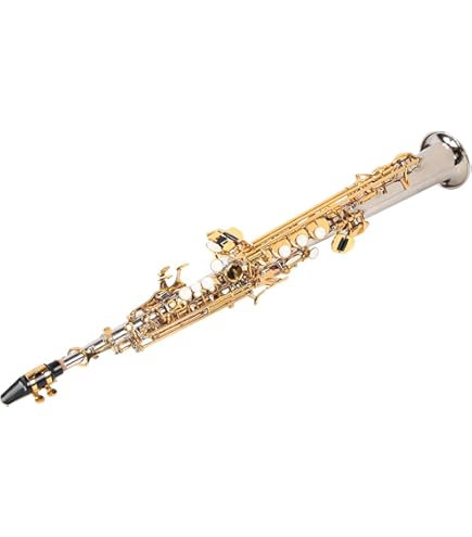 Amazon | PLAYTECH (プレイテック) ソプラノサックス デタッチャブル