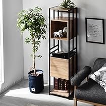 61ZKabR4QBL._AC_UL210_SR210,