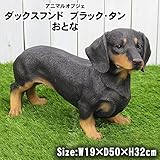 日用品 ガーデニング 花 植物 ＤＩＹ 関連商品 アニマルオブジェ ダックスフンド ブラック・タン おとな QY-62