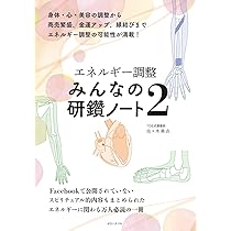 Amazon.co.jp: エネルギー調整 みんなの研鑽ノートFINAL : 佐々木勇吉: 本