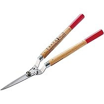 61ZN-qMEcLL._AC_UL210_SR210,