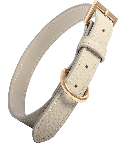 Amazon | (ルイヴィトン)LOUIS VUITTON M58071-M58056 レッス バグ