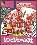 リッチェル 5L シンビジュウムの土