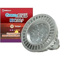 Amazon.co.jp: Volks Japan Grassy LeDio RX122 Sunset : Pet Supplies 