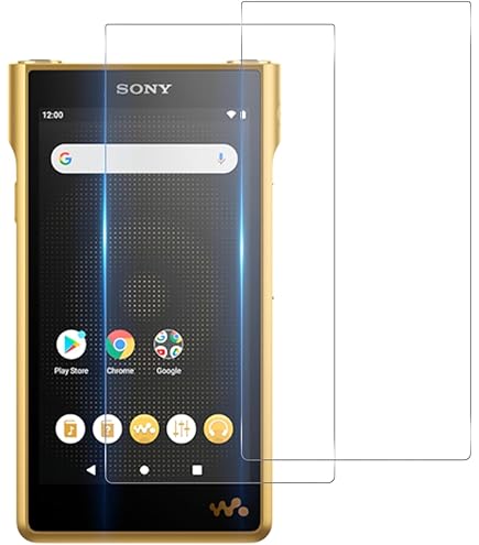 SONY NW-WM1AM2 純正ケース付 ソニー ウォークマン純正レザーケース NW-WM1ZM2/NW-WM1AM2専用