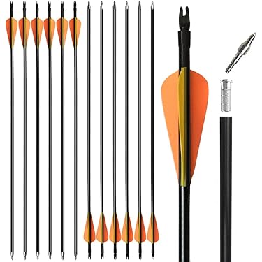 Amazon.co.jp 売れ筋ランキング: アーチェリー用矢 の中で最も