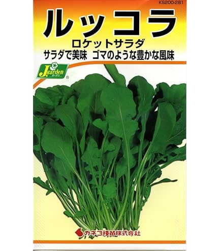 Amazon.co.jp: ベビーリーフ 【ルッコラ（セルバティカ）】 種