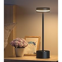 61ZT-TeNJIL._AC_UL210_SR210,