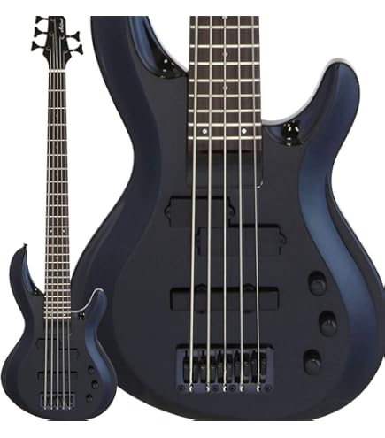 Ibanez EHB1005MS IGB924R-BK 5弦ベース　ヘッドレス EHB1005MS | EHB | ELECTRIC BASSES | PRODUCTS | Ibanez guitars