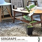 グリーン／観葉植物 光触媒 造花 グリーン 人工植物 消臭 抗菌 防菌 除菌 ホルムアルデヒド 植物 人工 タバコ ペット アートフラワー オフィス プレゼント ギフト