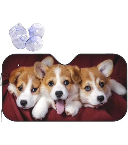 Amazon | コーギー 子犬 可愛い 犬柄 車用サンシェード フロント