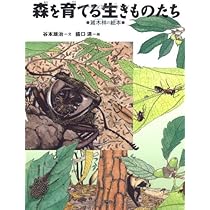 Amazon.co.jp: 森を育てる生きものたち 雑木林の絵本 (ちしきのぽけっ