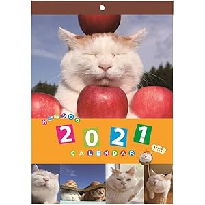 学研ステイフル 2021年 かご猫 カレンダー 壁掛け DM12002