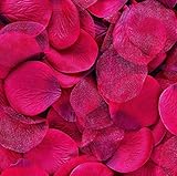 Wilton Decor Petals with Organza, Red, 300-Pack [並行輸入品]