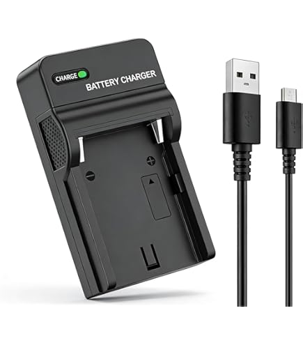 Amazon | BC-U2 バッテリーチャージャー BP-U30/BP-U60専用 | ビデオ