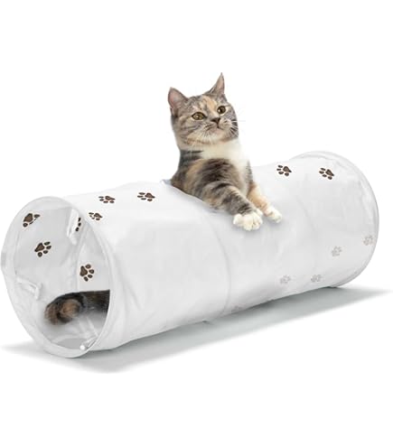 Amazon.co.jp: SIMPS キャットホイール 【獣医師監修】中～大型猫専用