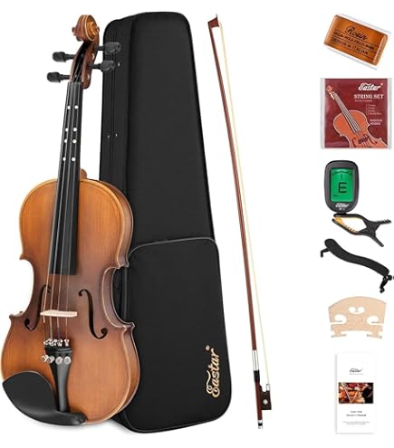 Amazon | EASTMAN VL80ｾｯﾄ 4/4 バイオリンセット (イーストマン