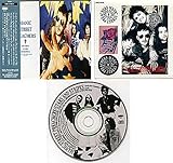 �X�^�[�Y�E�A���h�E�X�g���C�v�X