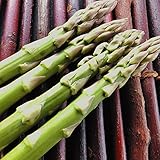 国華園　有用植物苗　アスパラガス　大株ブラボー　5株【※発送が国華園からの場合のみ正規品です】