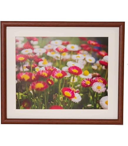 フジカラー FUJICOLOR 木製額縁 M21 4切　ブラウン 9個セット Amazon | FUJICOLOR 木製額縁 M21 4切 ブラウン 407895 | 額縁