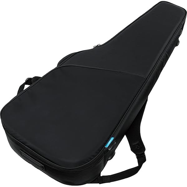 ソフトケースアイバニーズ Amazon | [アイバニーズ] セミホロウ・ギター・ケース POWERPAD