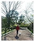 ミズウミの底に。: 「生きづらさ」の果てに境界性パーソナリティ障害 (BPD)を発症した私が生きてきた道。