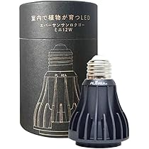 EverSun365 エバーサン サンロクゴー ブラック 24w ゼンスイ エバーサン サンロクゴー 24W｜ゼンスイ株式会社