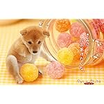 犬 freeサイズ画像 元気あげたいな 犬 freeサイズ画像 元気あげたいな