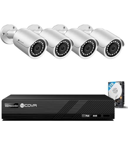 Amazon.co.jp: 【500万画素・AI人形/車両検知・PoE給電・夜間カラー