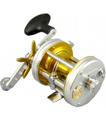 Amazon.co.jp: AbuGarcia Ambassadeur 5500CS Rocket Blue Gray Right