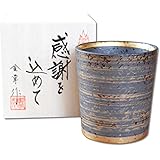 退職祝い プレゼント 焼酎グラス 二重構造 中空 感謝を込めた退職ギフト 有田焼 風神金彩 ゴールド キーポ 焼酎カップ 感謝の木箱入り