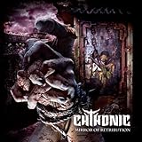 �~���[�E�I�u�E���g���r���[�V����